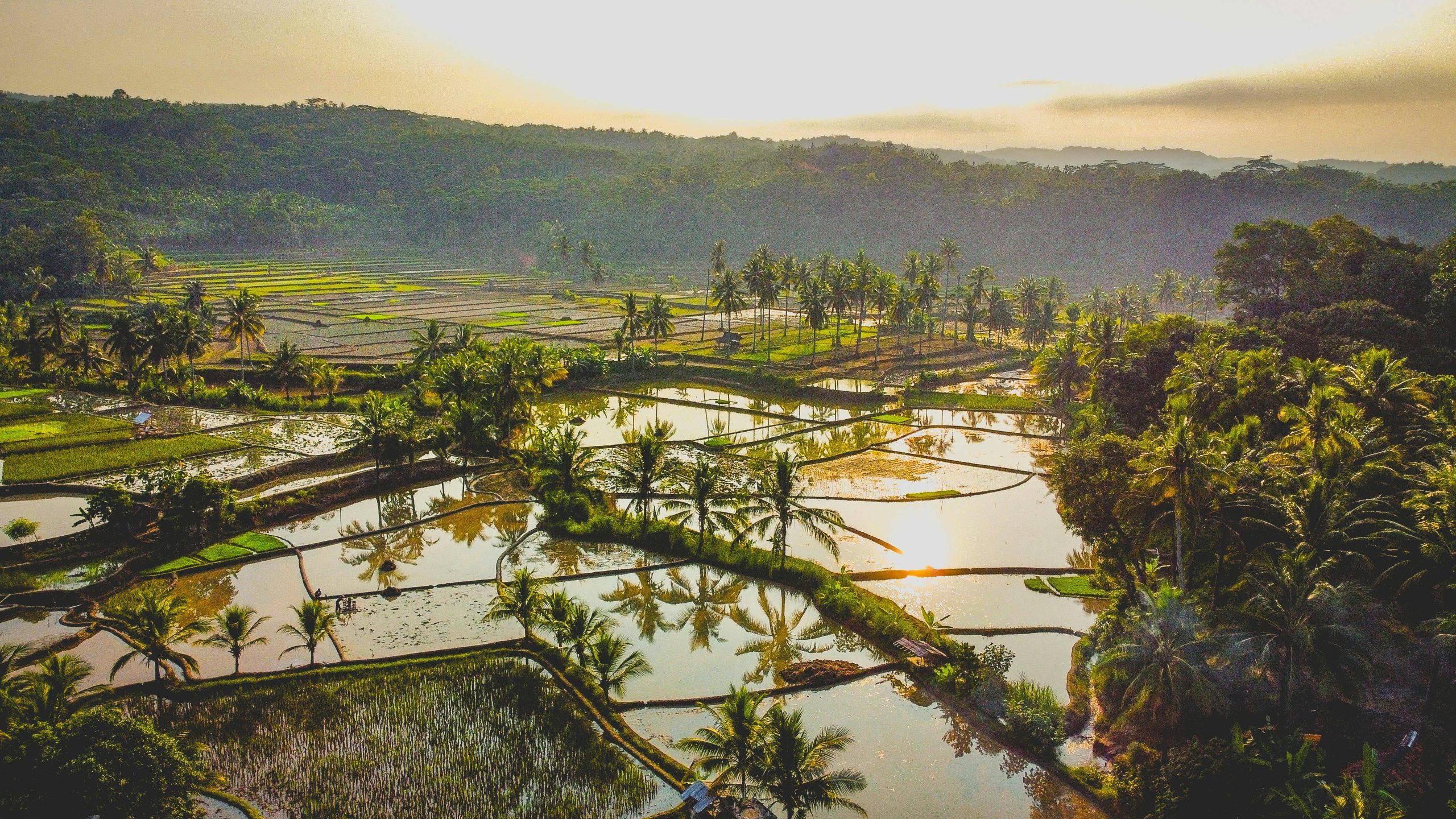 pexels-dheny-sandy-2155180123-33598663